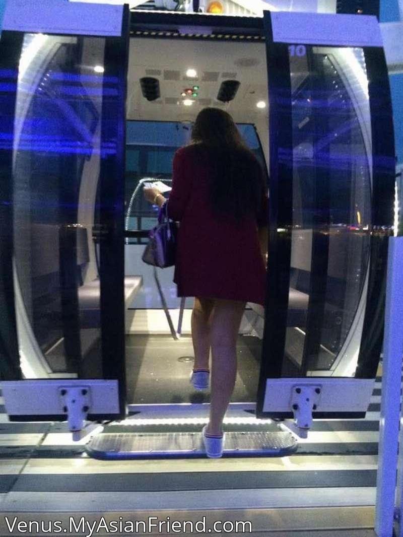 Venus's personal blog photo 1 added Friday the 6th of December 2024