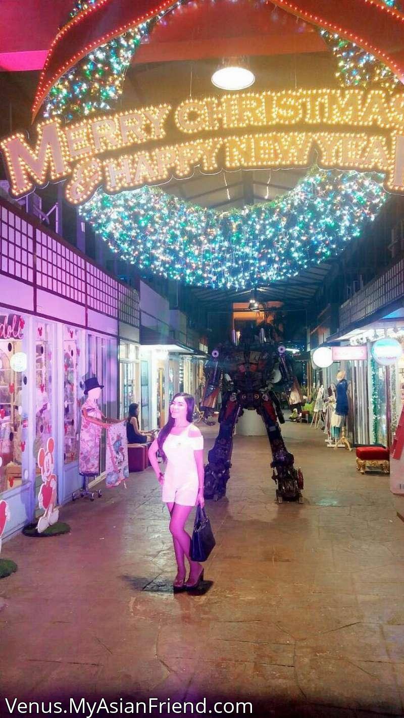 Venus's personal blog photo 1 added Tuesday the 24th of December 2024